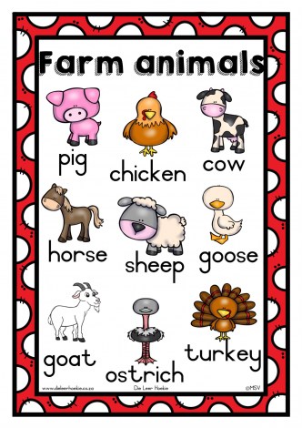 Animals Posters A3. (M)_2